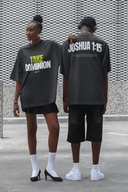 TAKE DOMINION TSHIRT